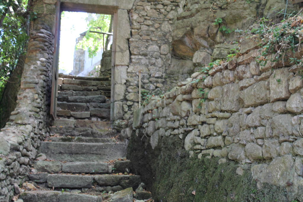 L'Ecrin D'Osely Bed & Breakfast Lodeve Exterior photo